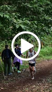 BIB:  <button type="button" onclick="openModal(27282160)" class="btn btn-primary btn-sm float-right" data-toggle="modal" data-target=".modal-high-quality">
                <i class="fa fa-download"></i> Download
                </button>